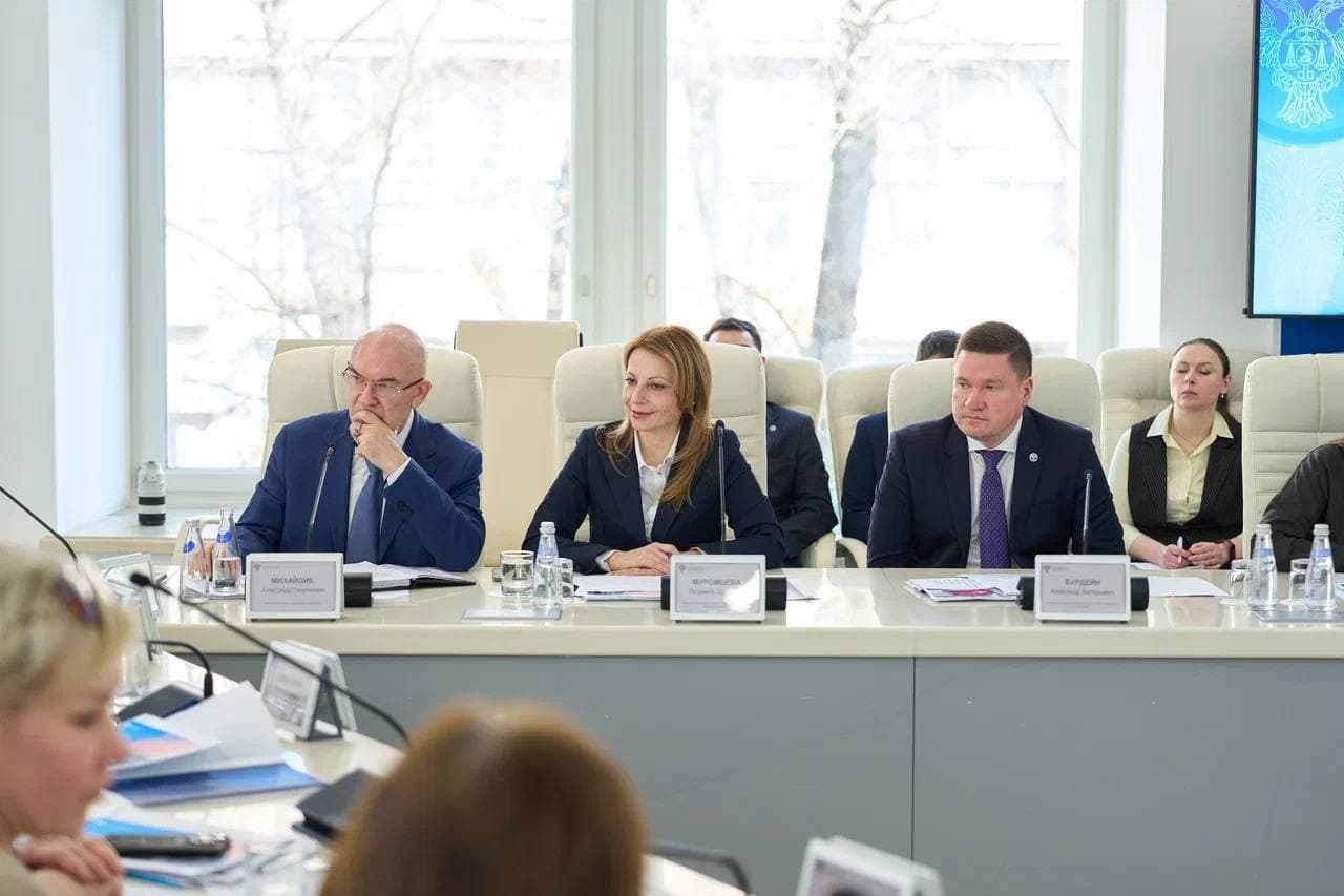 Под председательством заместителя руководителя Казначейства России Александра Михайлика состоялось заседание Совета по организации внешнего контроля деятельности аудиторских организаций — изображение 2